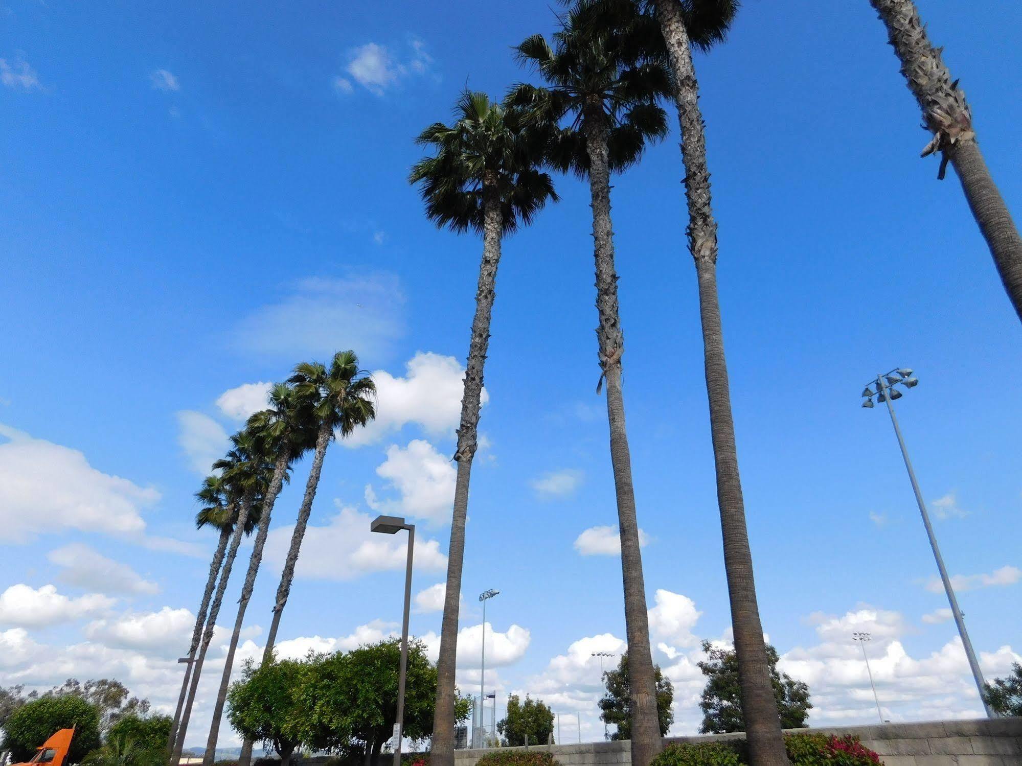 Best Western Plus - Anaheim Orange County Hotel Placentia Bagian luar foto